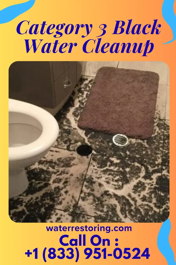 Category 3 Black Water Cleanup in Barboursville, WV