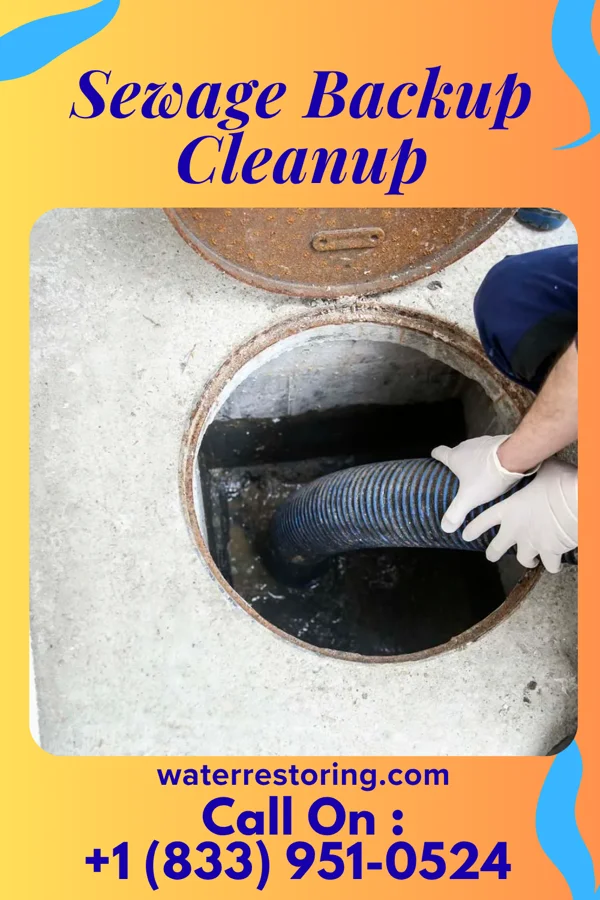 Sewage Backup Cleanup in Barboursville, WV
